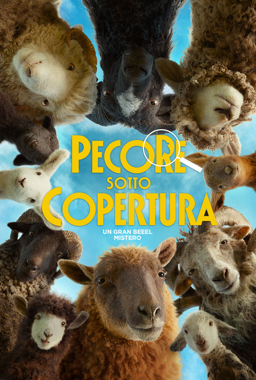 PECORE SOTTO COPERTURA